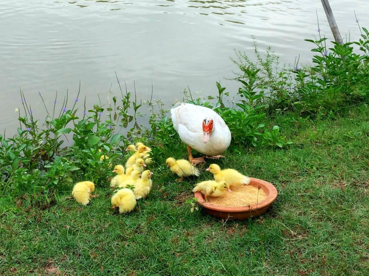 룽나라 풀빌라 반 산 사이 외부 사진
